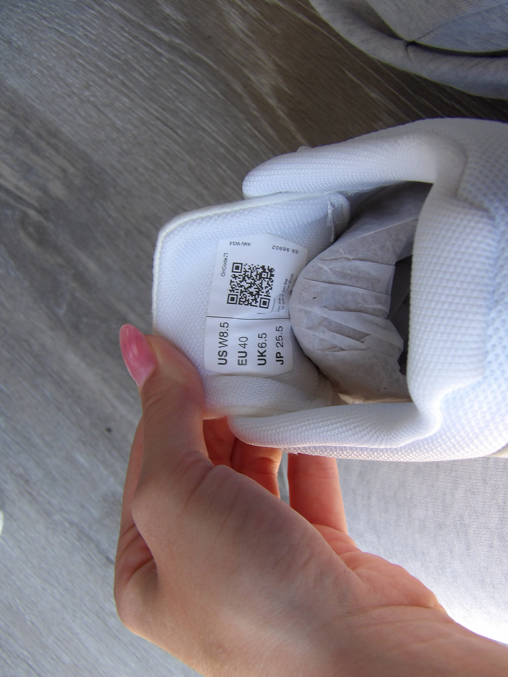 Oncloud 5's